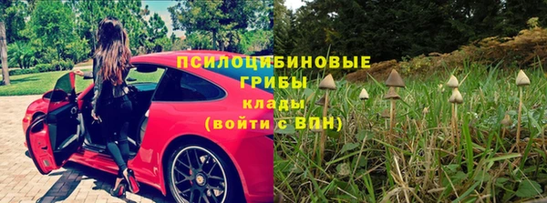 2c-b Сосновоборск