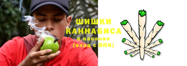 тгк Сосновый Бор